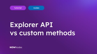 Explorer API vs custom methods