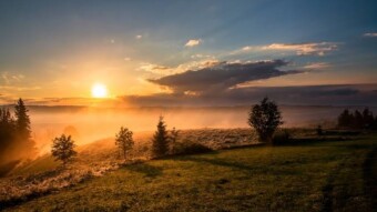Finding My Way Back: Overcoming Challenges and Embracing Transformation