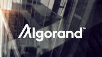 Staking ALGORAND with COINBASE! | Week 6
