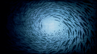 Endless Ripple