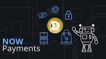 Payments in DOGE, Who Accepts Them and Why
