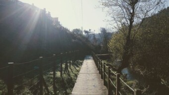 Trip to Portugal - Porto Mountain Park