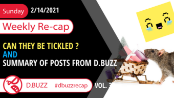 Recap of this Week's Posts by D.Buzz Vol.33