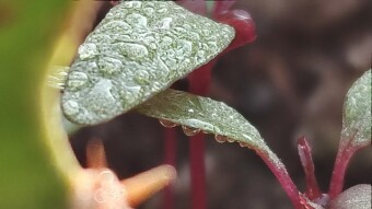WATER DROPS Photography