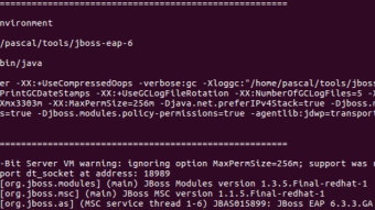 Analysis with JBoss Logfile-Codes