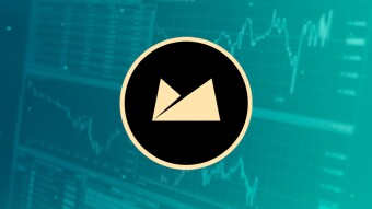 Modest Investments