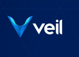 VEIL:Privacy and Security In One Package!