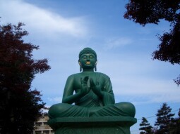 Your Third Eye is Showing (Haibun)
