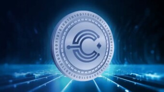 CryptoCasino Zealy Airdrop – 100,000,000 $CASINO Tokens