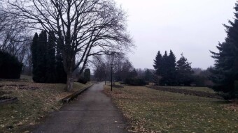 Humid, a little rain but still spring-like - My Actifit Report Card: February 27, 2025
