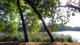 A quiet day for a walk, but unusually warm for September - My Actifit Report Card: September 4 2024
