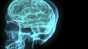 Consciousness, the biggest mystery in modern science