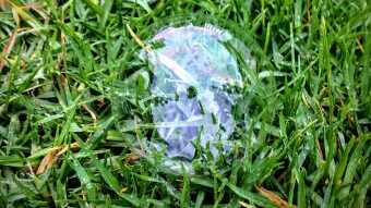 Bubble, Bubble On The Grass