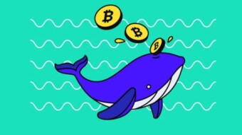 How to track crypto whales: A comprehensive guide to market intelligence
