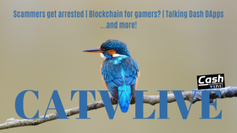 Scammers get arrested, Blockchain for gamers?, Talking Dash DApps... and more! | CATV LIVE