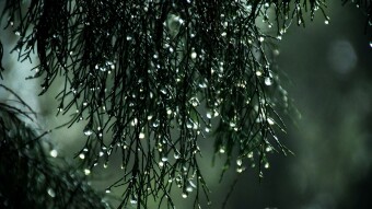 After The Rain