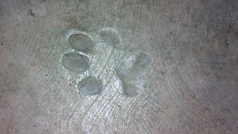 DogPaw - Concrete dated 1978