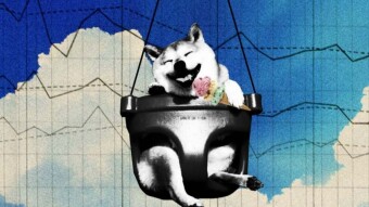 Shiba Inu Surpasses 1 Million Holders, SHIB Pumps in Response