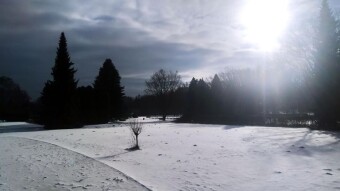 Today the winter has softened and there was plenty of sunshine - My Actifit Report Card: January 12, 2026