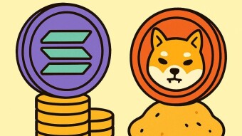 Solana and the Meme Coin Mirage