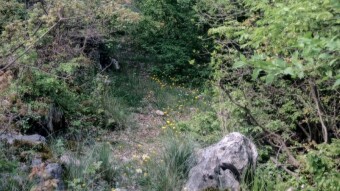 The Story of My Great-Grandfather and the Witch Kata