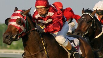 Follow The Tipster - Betting Strategy