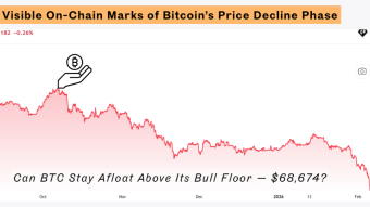 Bitcoin’s Price Decline Phase and the On-Chain Pain of Short-Term Holders