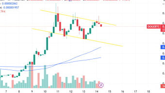 DOGE in Focus: Continuation Pattern Forms Amid Low Trading Volume