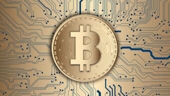 Cryptocurrency Robot Trading: Is Royal Q a Scam or Not?