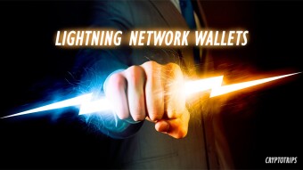 Wallets: The Ultimate Beginner's Guide to the Lightning Network.