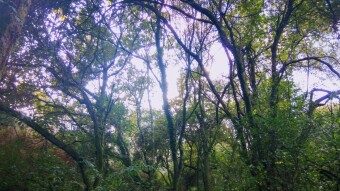 Portugal - Explore new paths in Sta Justa #2