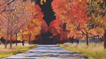 Autumn