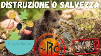 BITCOIN VERRÀ DISTRUTTO O CI RIPRENDEREMO PRESTO con CRYPTO SALAD