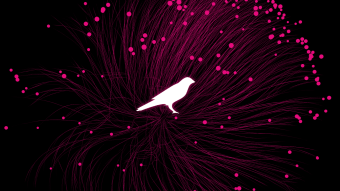 Polkadot’s canary network — Kusama