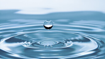 Liquid Network
