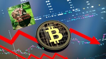 Bitcoin price drops... Get free crypto now while it's low