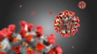 The Government Are Lying About The Virus