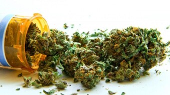 Magik Herb