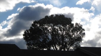 Subtlety – Part Two: Don’t Live in the Present