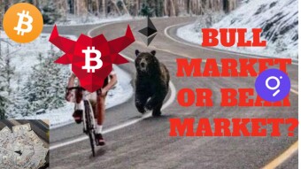 Crypto Bear 🐻 Market or Bull Market Right now?