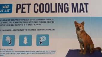 Case of Cooling mat.  I have Sinned! Oh, please forgive me, Lord of most high.