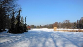 To put it mildly, I'm fed up with this winter - My Actifit Report Card: February 3, 2026