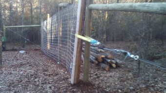 Apocalyptic Homesteading (Day 31)