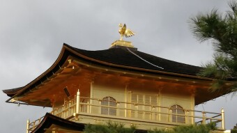 Temple of the Golden Pavilion: Kinkaku-Ji