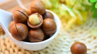 These Nuts Are VERY Toxic To Dogs!