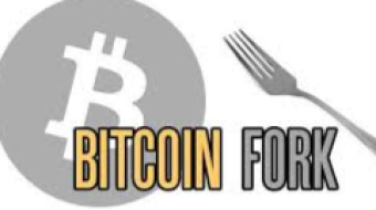 Bitcoin's 2020 Hard Fork Bitcoin Pay