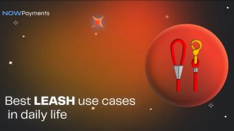 Best LEASH use cases in daily life