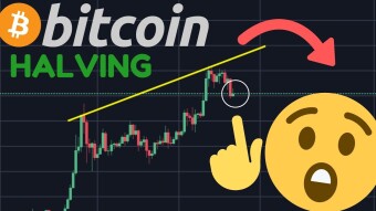 Price drop or rise to $ 1 million. What will happen to bitcoin after halving