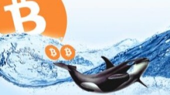 Bitcoin whales are not going to sell BTC at current prices: on average, they keep BTC 4.7 years