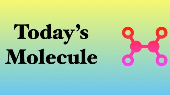 Today's Human Body Molecule #1: Creatinine